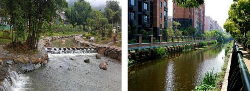 城市河道绿化、保洁、养护